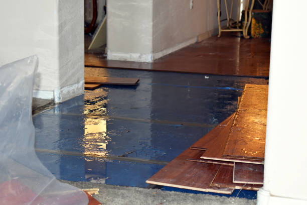 Professional Burst Pipe Cleanup technician working in Latham, NY